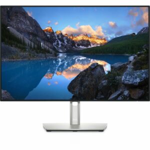 DELL UltraSharp U2421E LED display