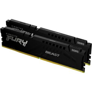 Kingston Technology FURY Beast memory module