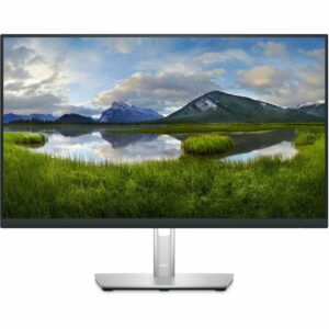 DELL P Series P2423DE LED display