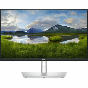DELL P Series P2424HT computer monitor